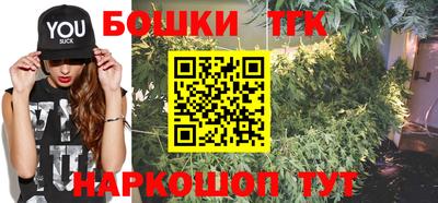 шишки Дубна