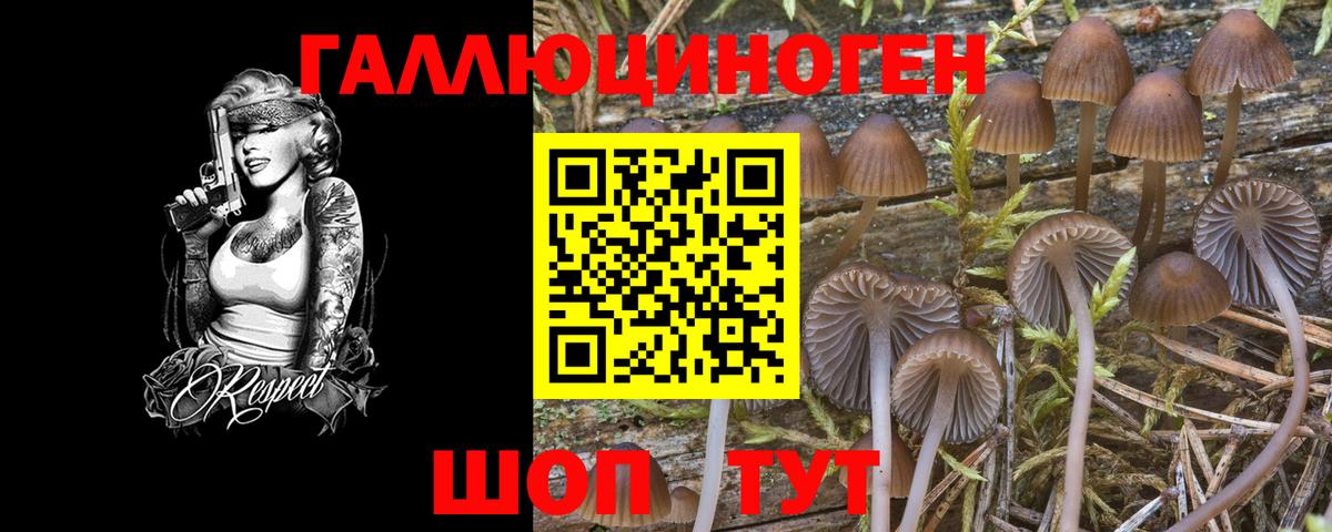 Галлюциногенные грибы Psilocybe  Галлюциногенные грибы MAGIC MUSHROOMS  Вход с VPN  Кушва 