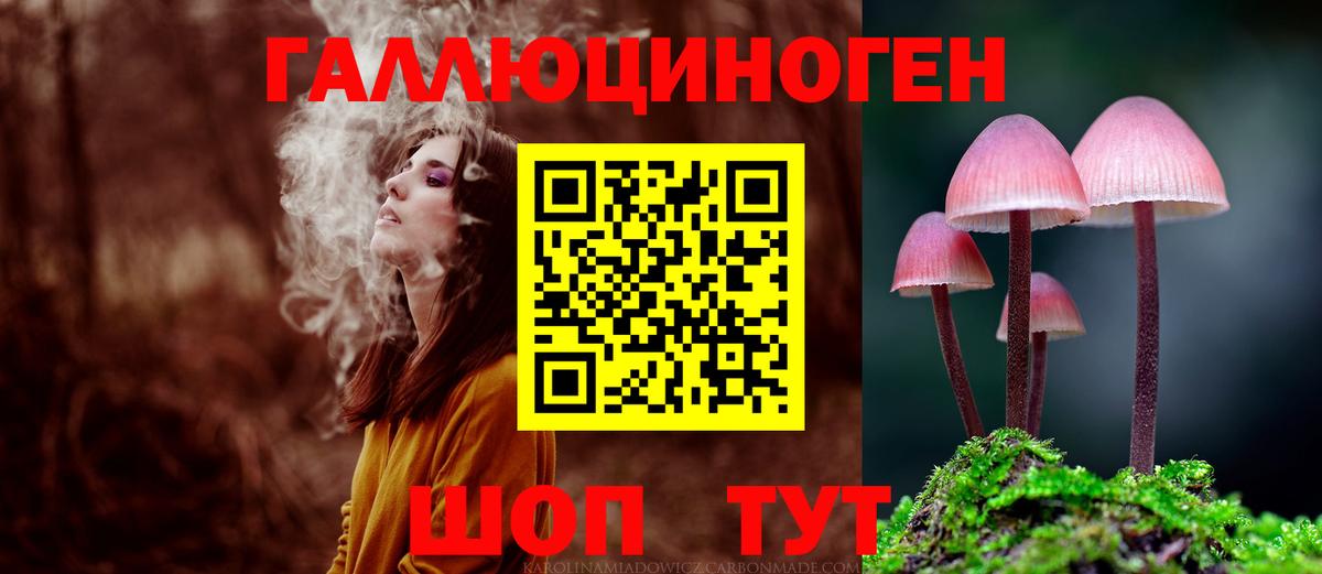 Псилоцибиновые грибы Psilocybe Кушва